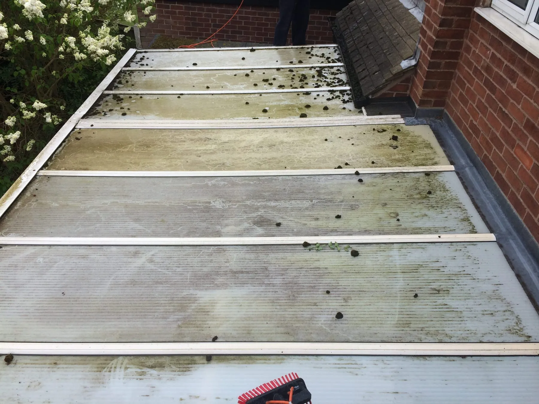 A conservatory roof part-way through cleaning, showing the difference between the cleaned and uncleaned panels